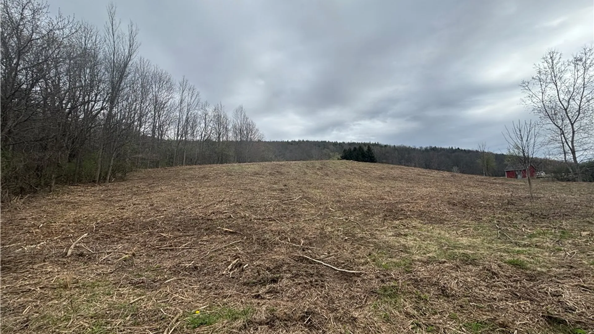 Property at 10212 State Route 36, Dansville, NY 14437 6