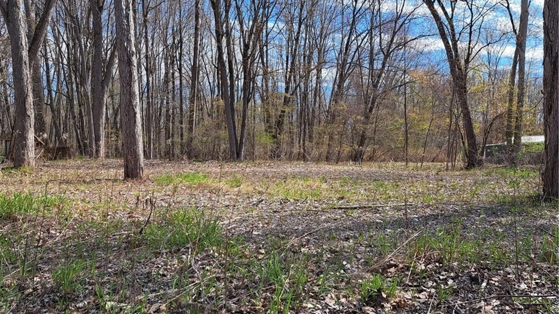 Property at Rt-13, Vienna, NY 13308 10