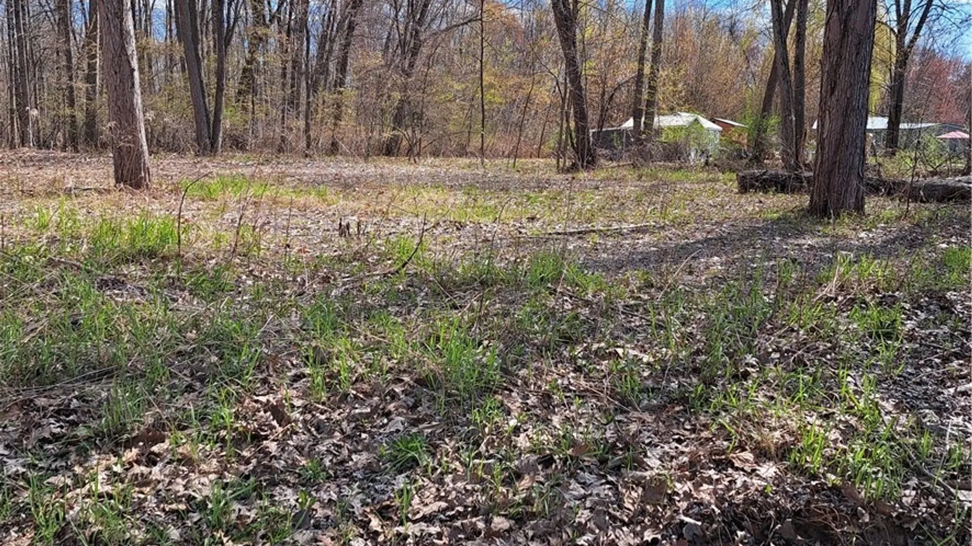 Property at Rt-13, Vienna, NY 13308 14