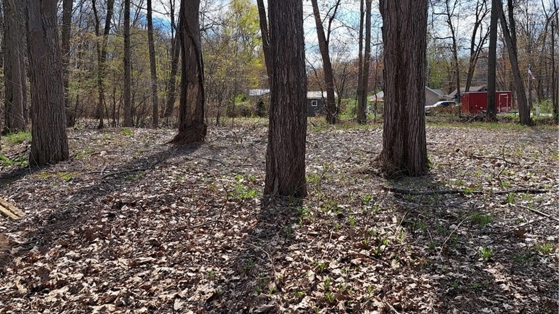 Property at Rt-13, Vienna, NY 13308 4