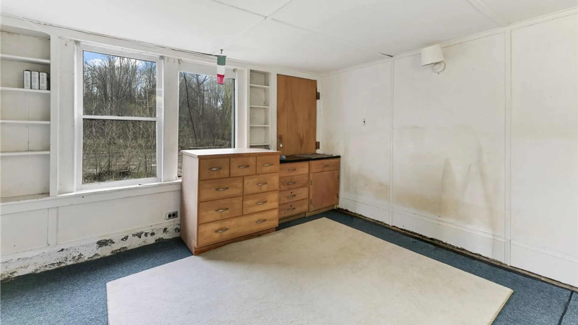 Property at 217 Forest Home Drive, Ithaca Town, NY 14850 12