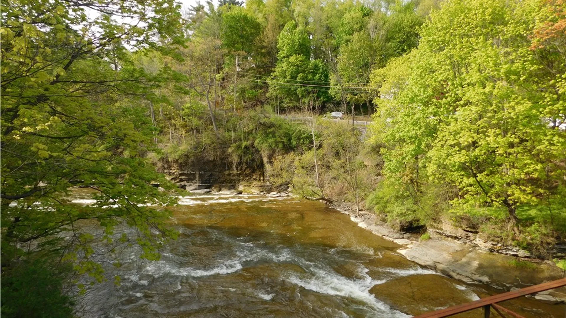 Property at 217 Forest Home Drive, Ithaca Town, NY 14850 32
