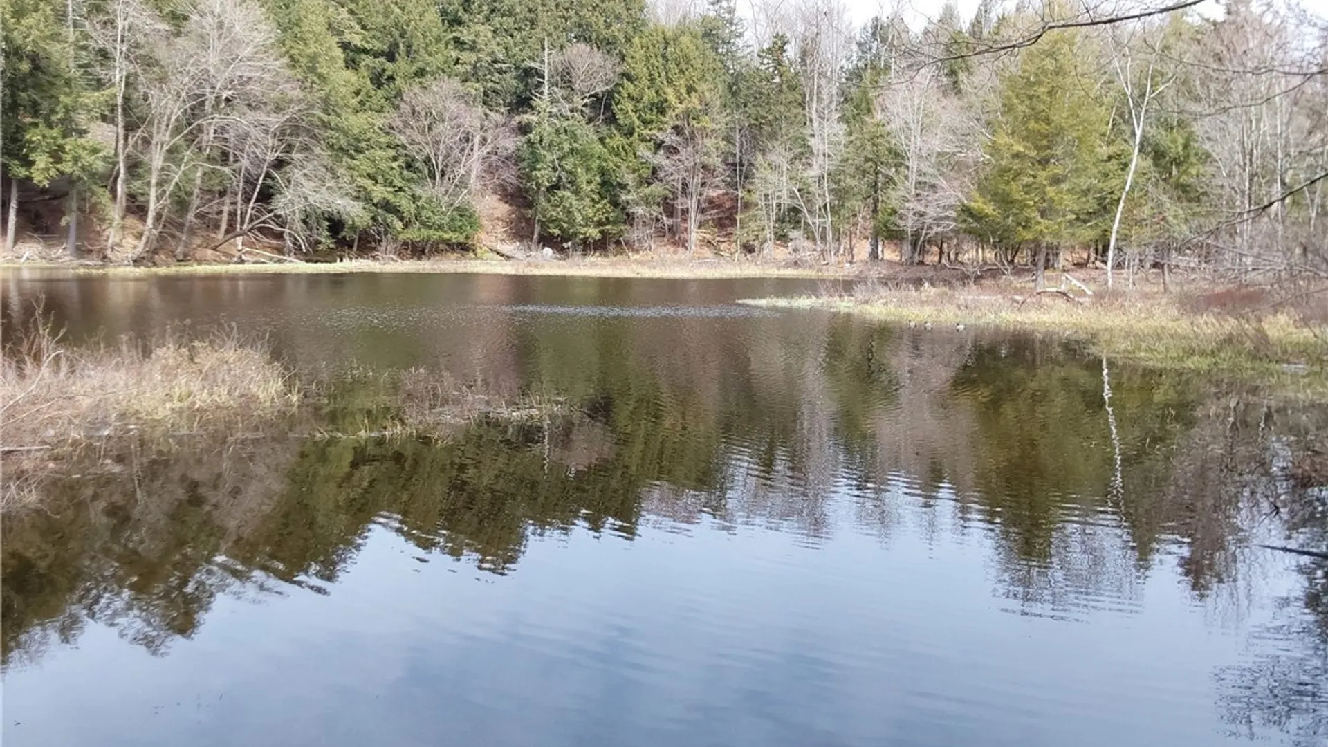 Property at 6504 Lorraine Avenue, Forestport, NY 13438 32