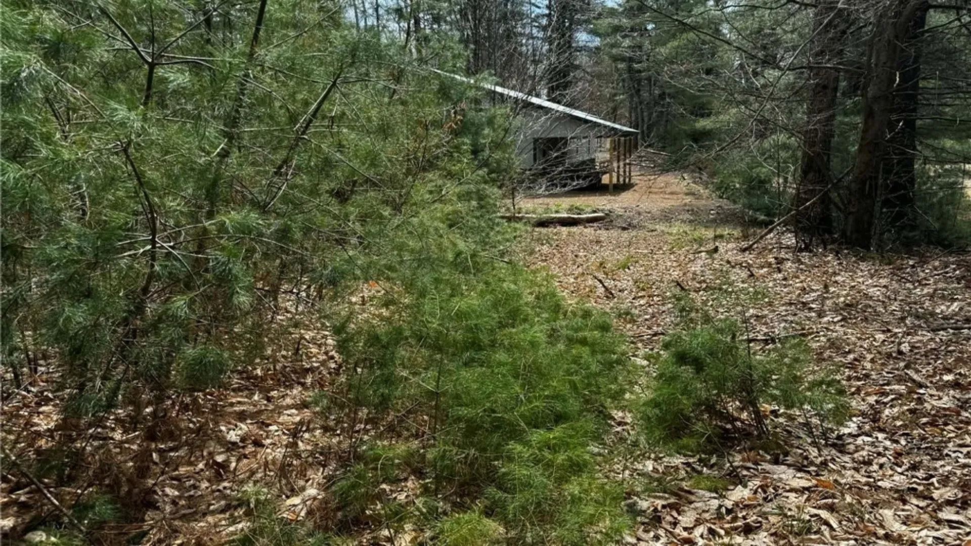 Property at 9249 Elpis Road, Vienna, NY 13316 11