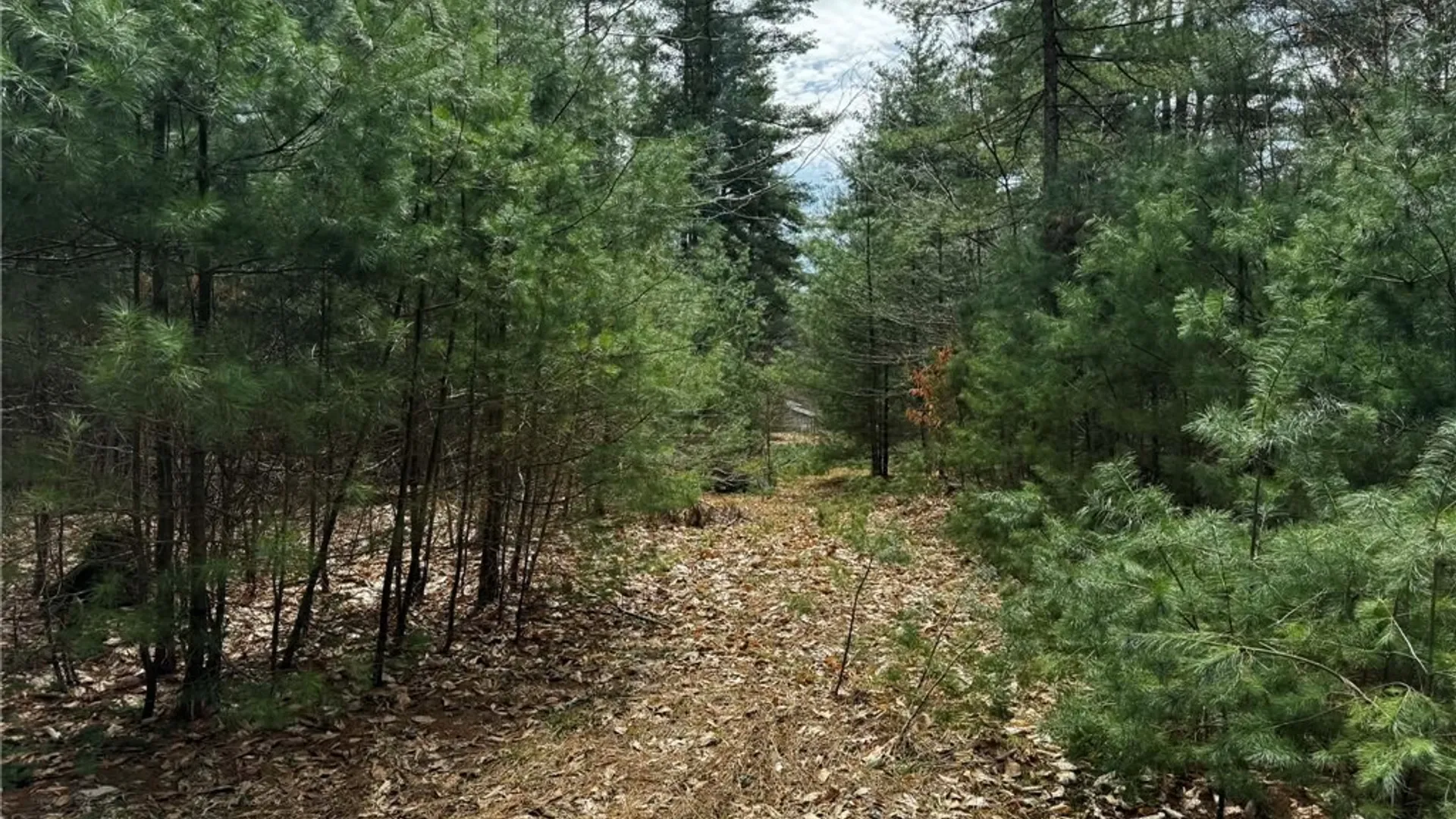 Property at 9249 Elpis Road, Vienna, NY 13316 12