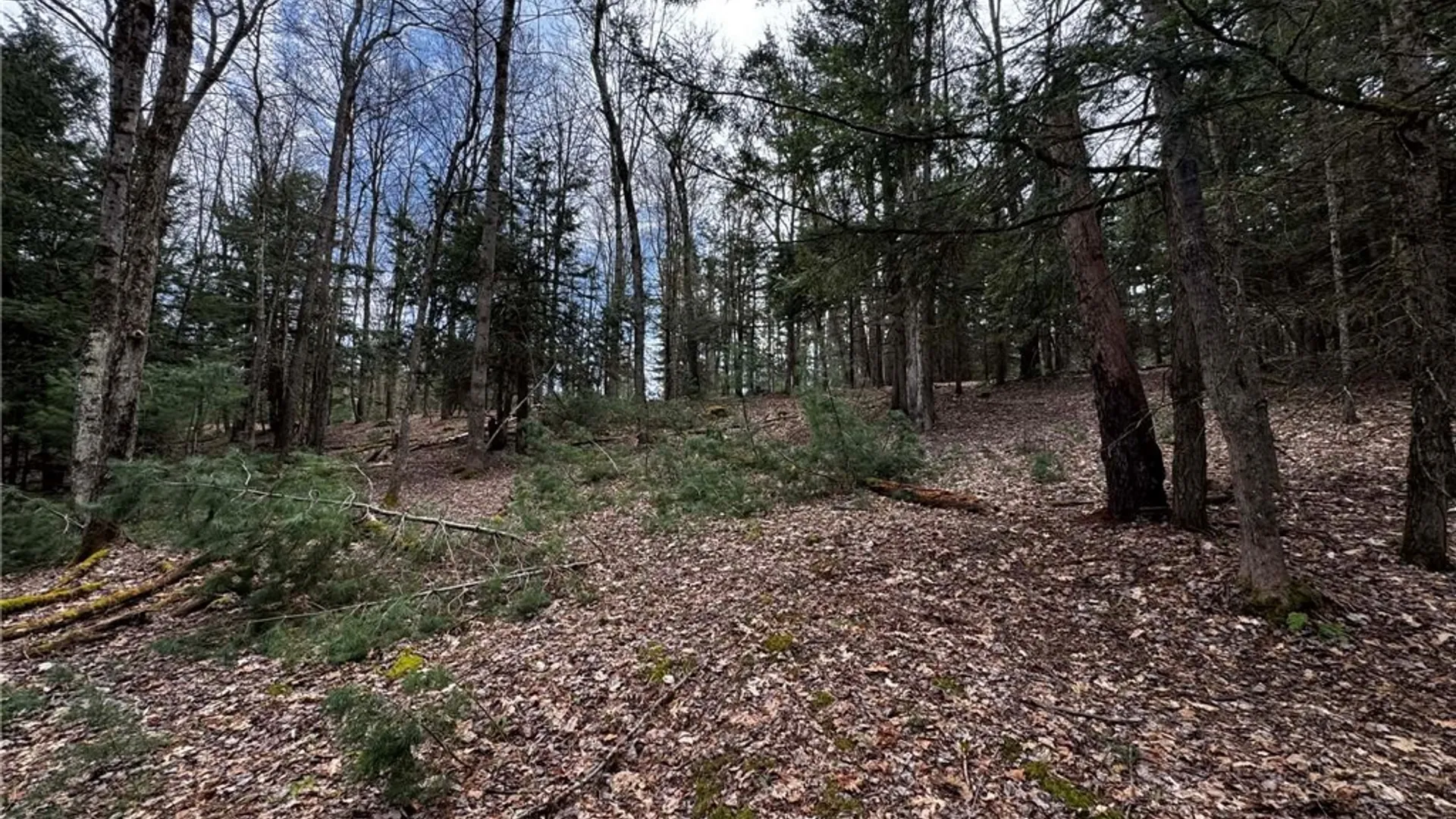 Property at 9249 Elpis Road, Vienna, NY 13316 13