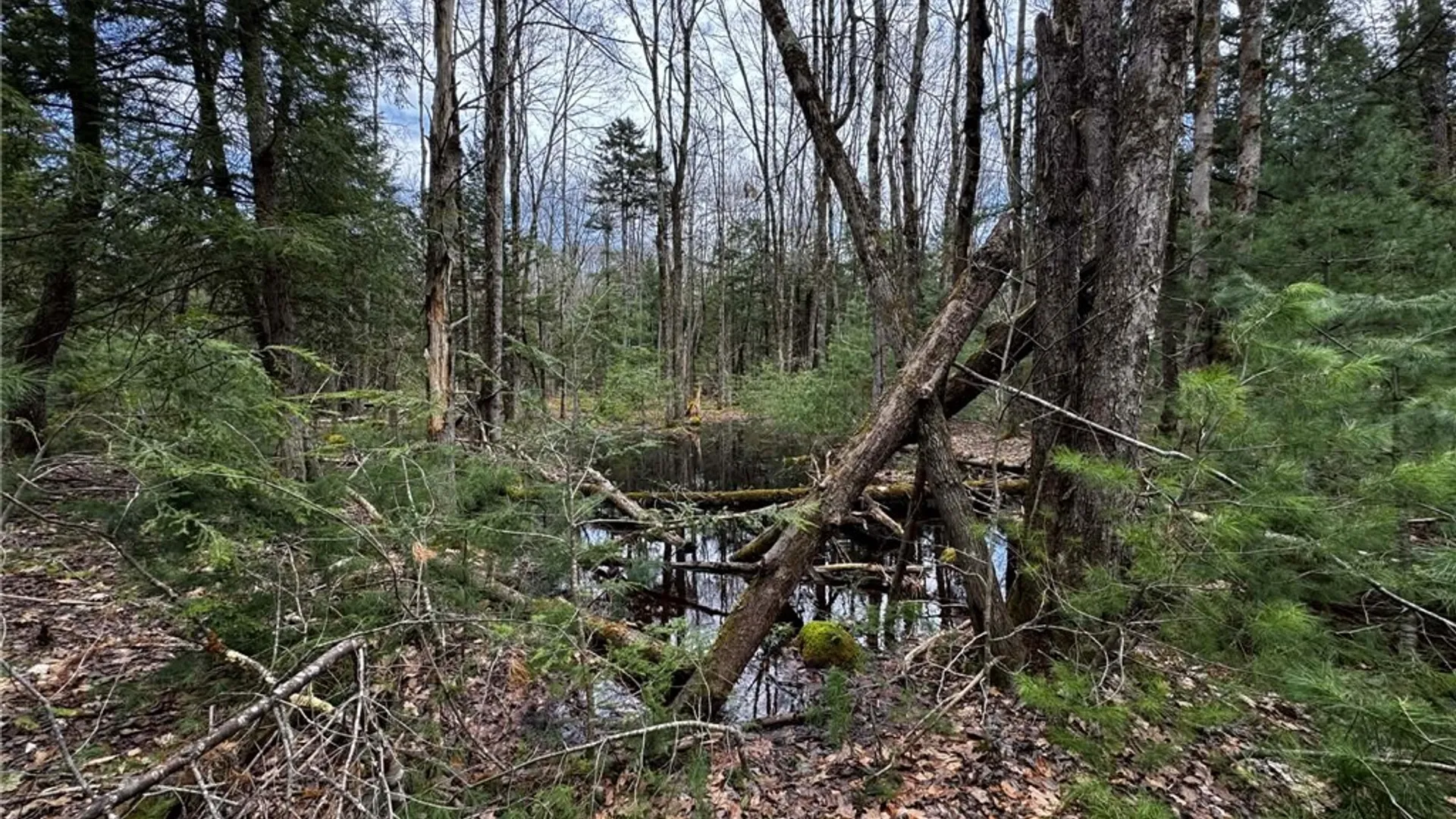 Property at 9249 Elpis Road, Vienna, NY 13316 14