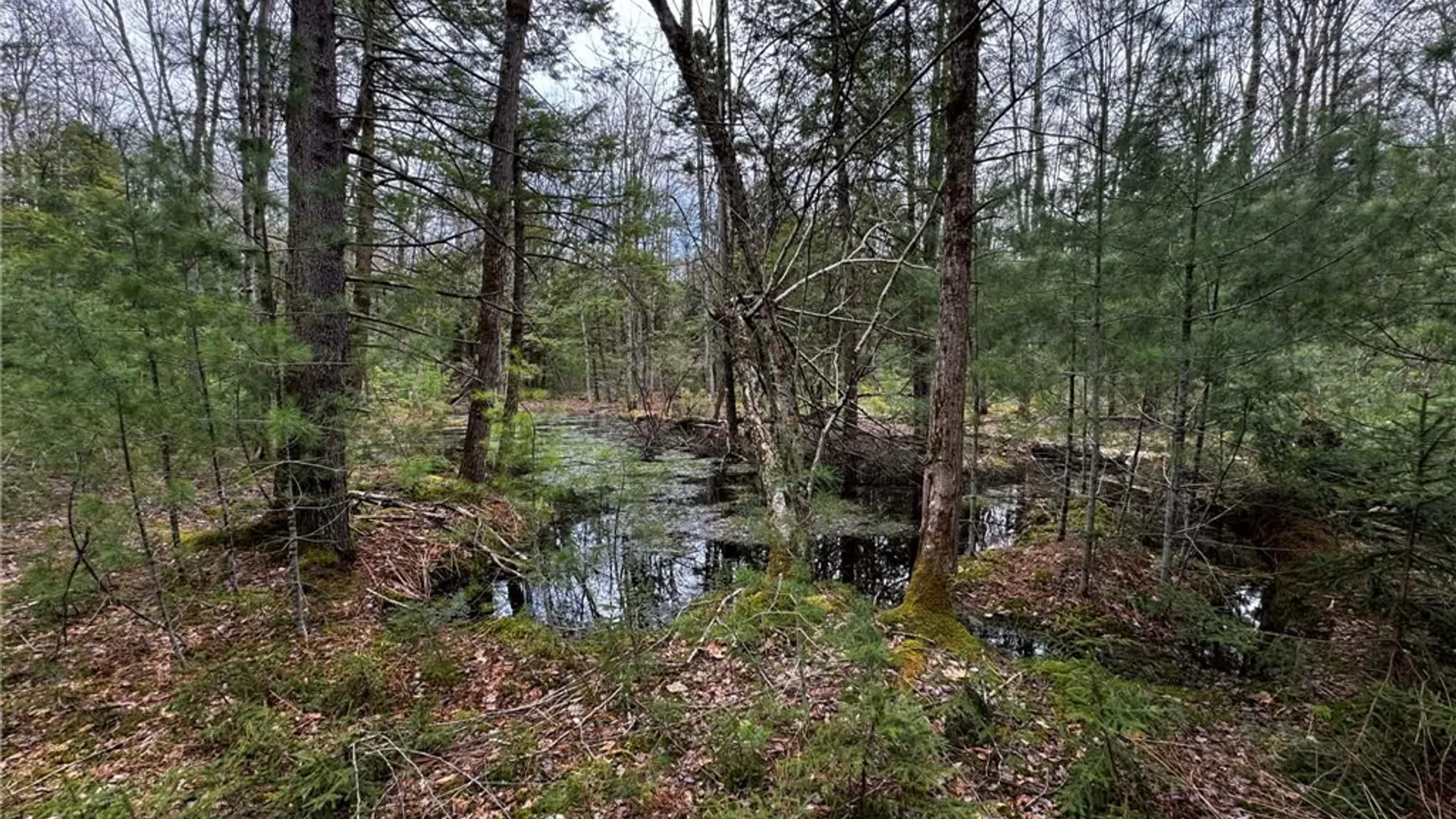 Property at 9249 Elpis Road, Vienna, NY 13316 15