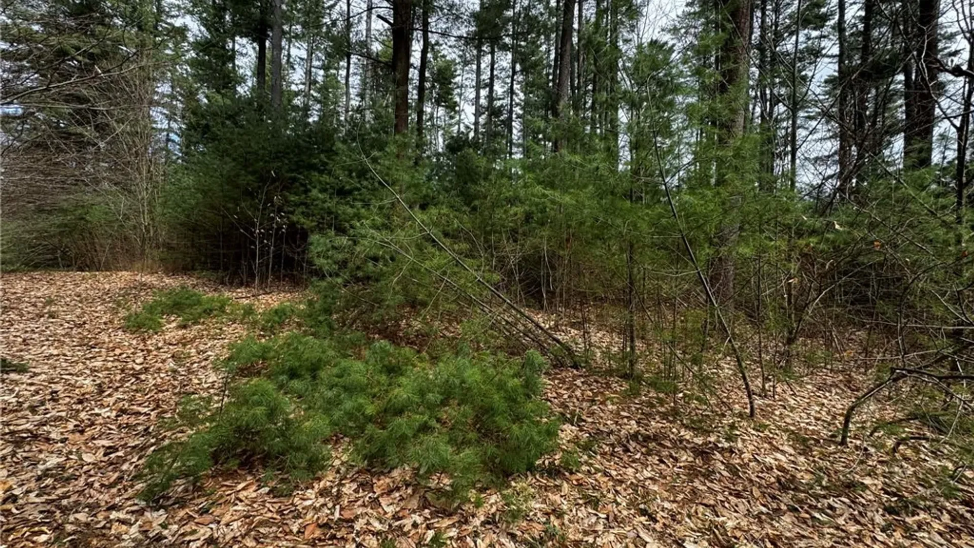 Property at 9249 Elpis Road, Vienna, NY 13316 17