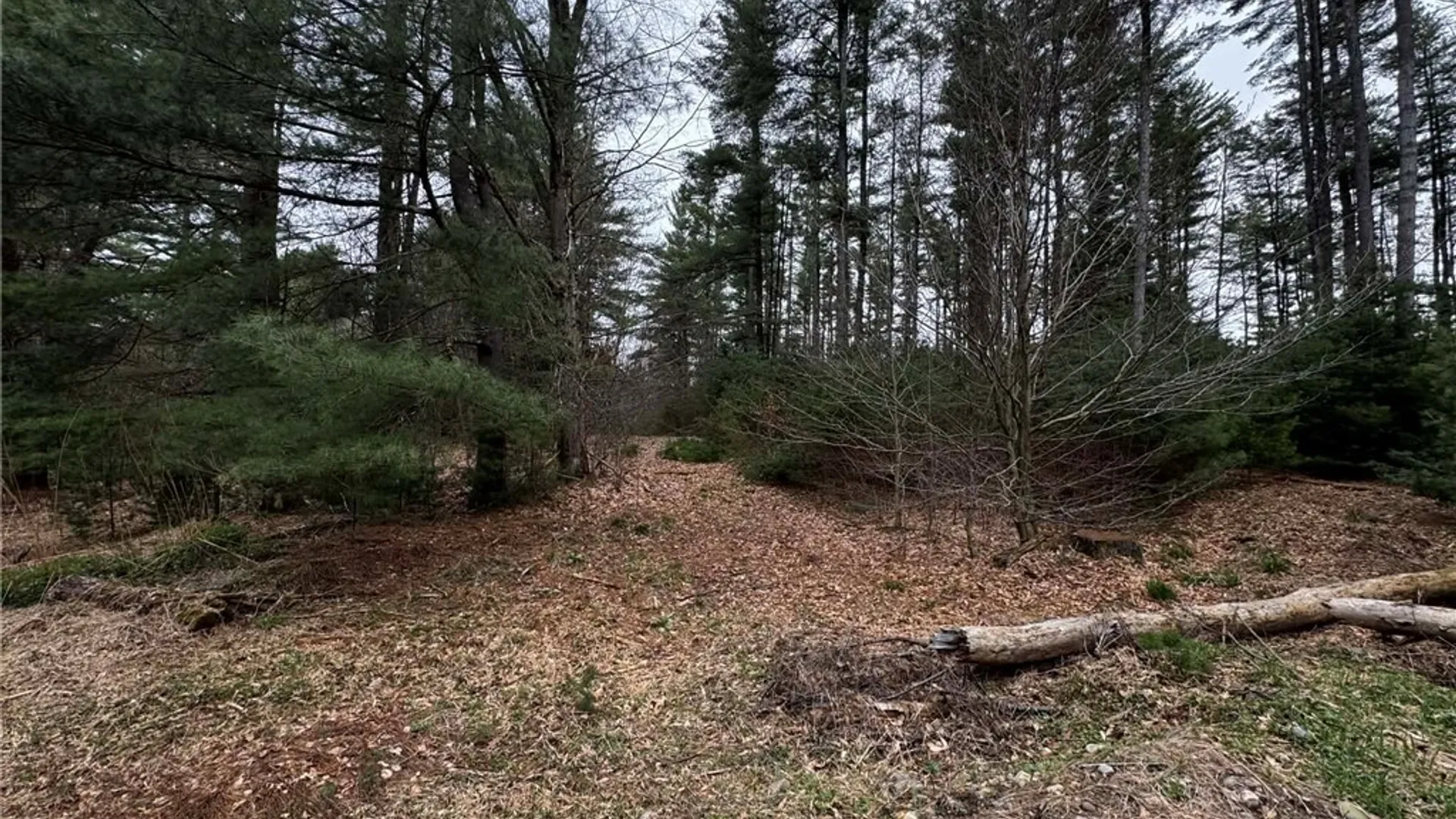 Property at 9249 Elpis Road, Vienna, NY 13316 8