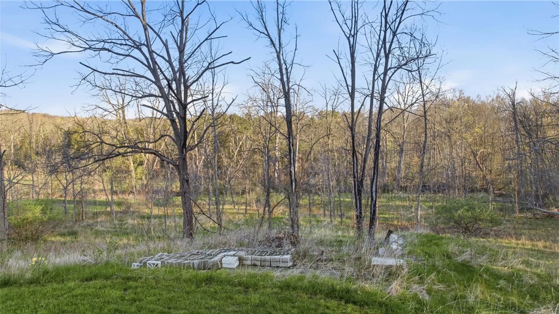 Property at 548 Assembly Avenue, Jerusalem, NY 14478 9