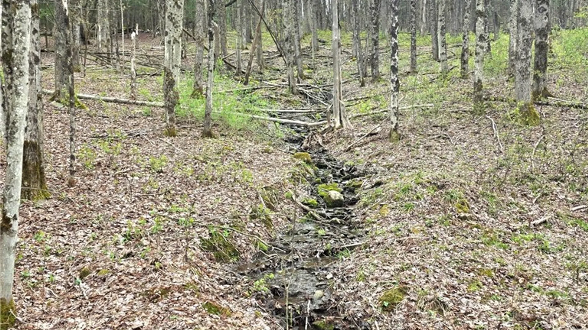 Property at County Highway 52, Middlefield, NY 13326 3