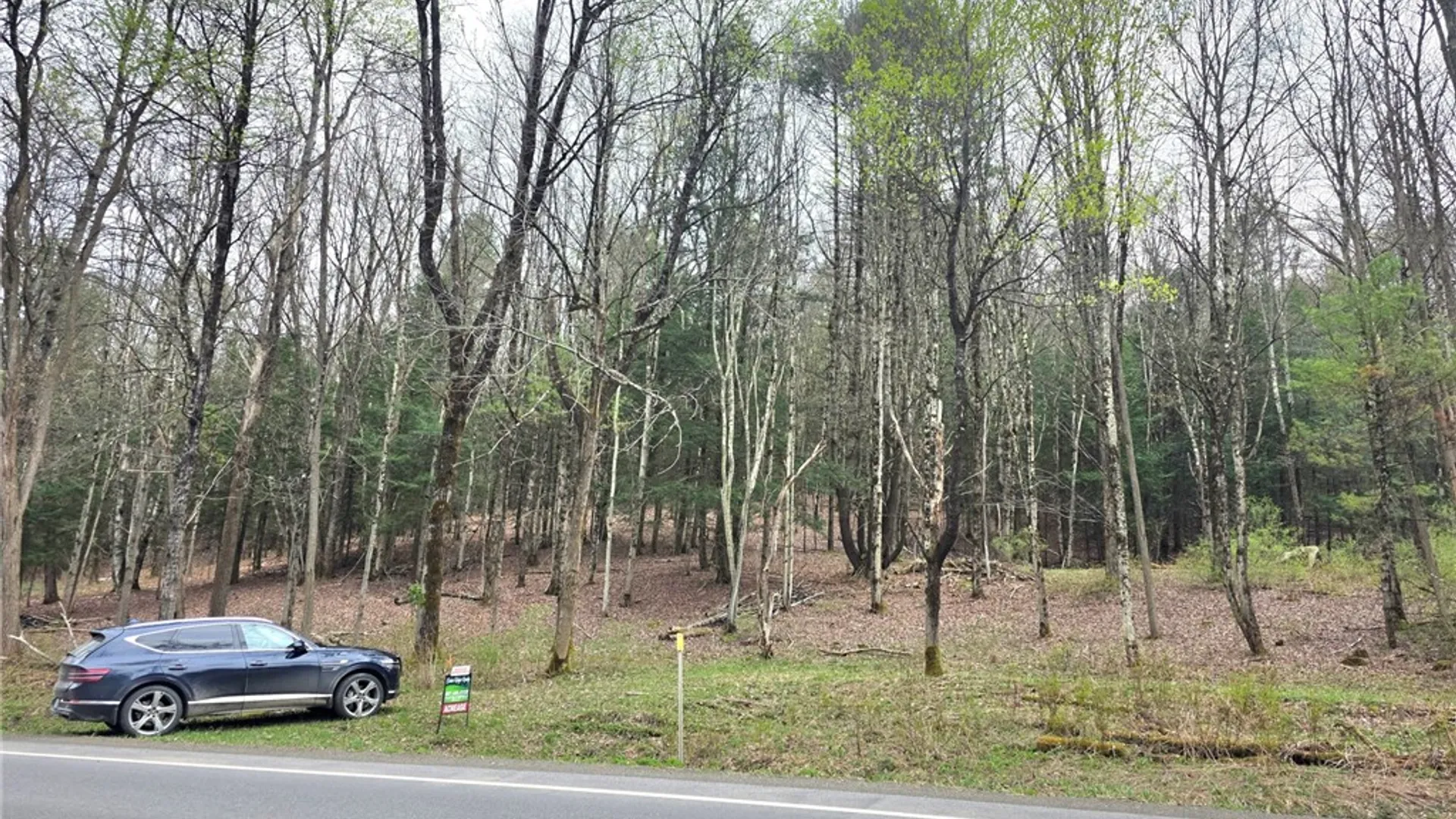 Property at County Highway 52, Middlefield, NY 13326 5