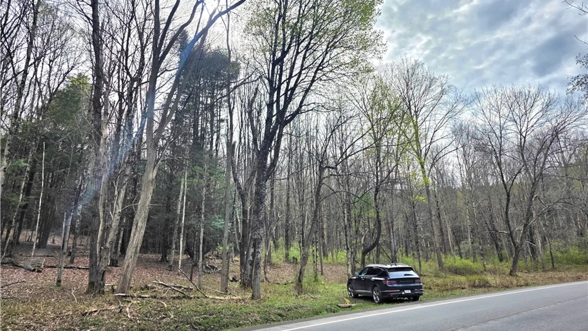 Property at County Highway 52, Middlefield, NY 13326 8