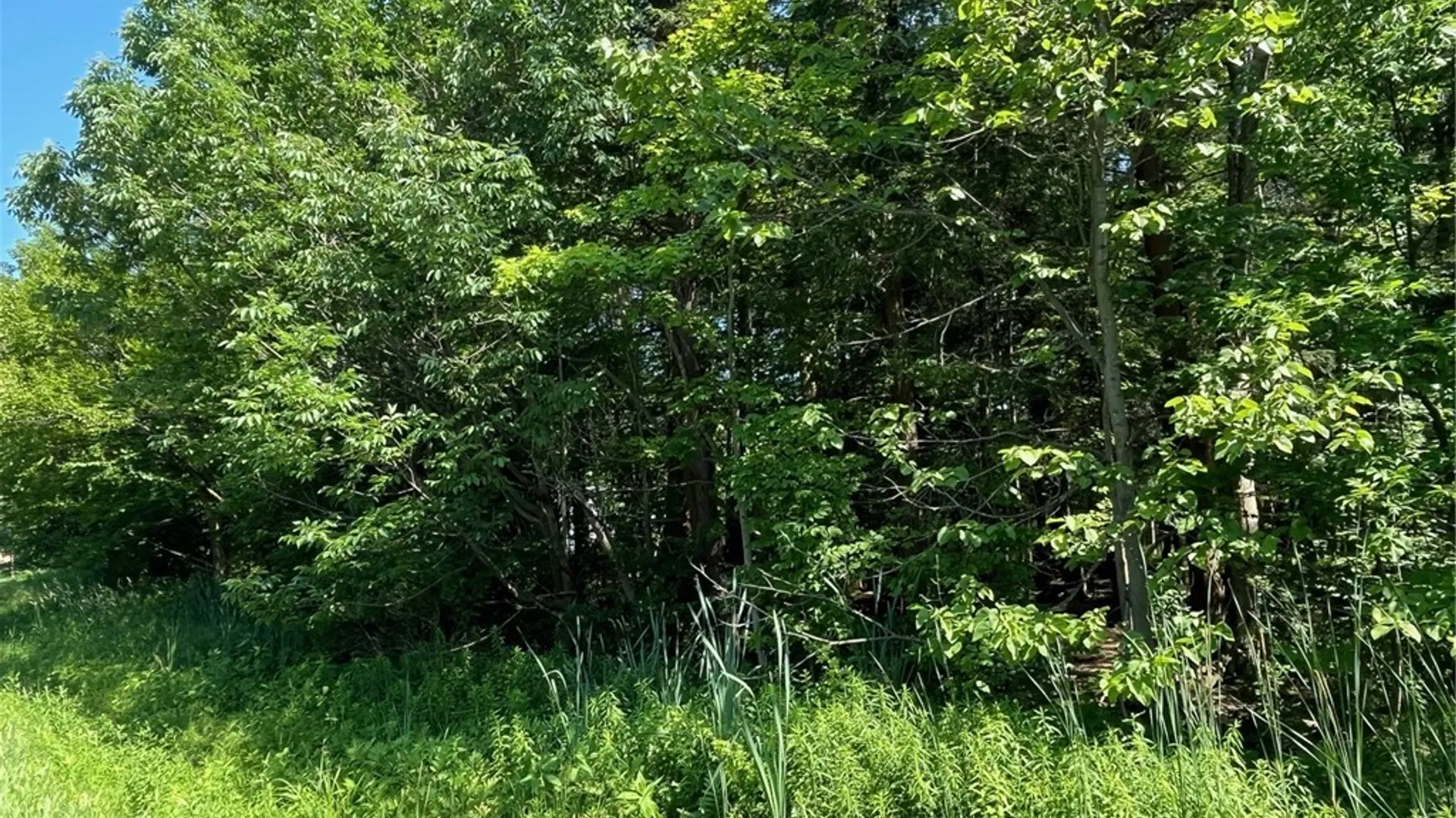 Property at VL Genesee Road, Arcade, NY 14009 4