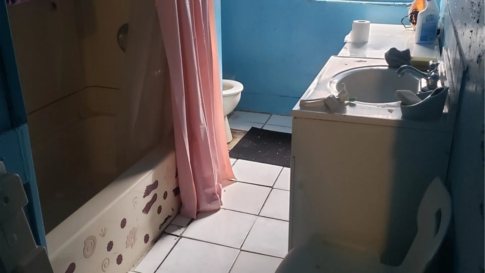 Property at 87 Flint Street, Rochester, NY 14608 14