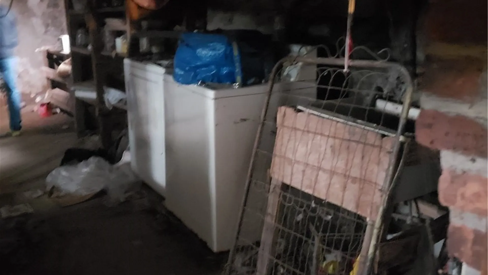 Property at 87 Flint Street, Rochester, NY 14608 15