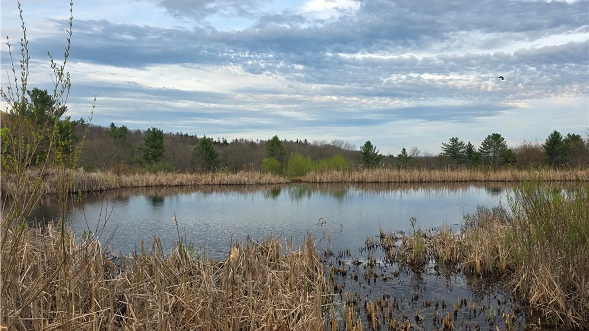 Property at 846 Butternut Road, Unadilla, NY 13849 3