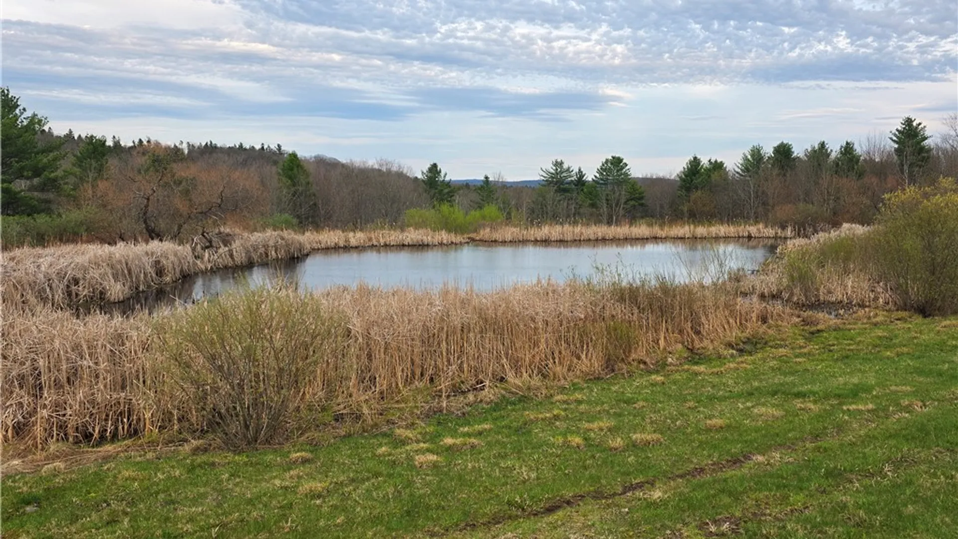 Property at 846 Butternut Road, Unadilla, NY 13849 5