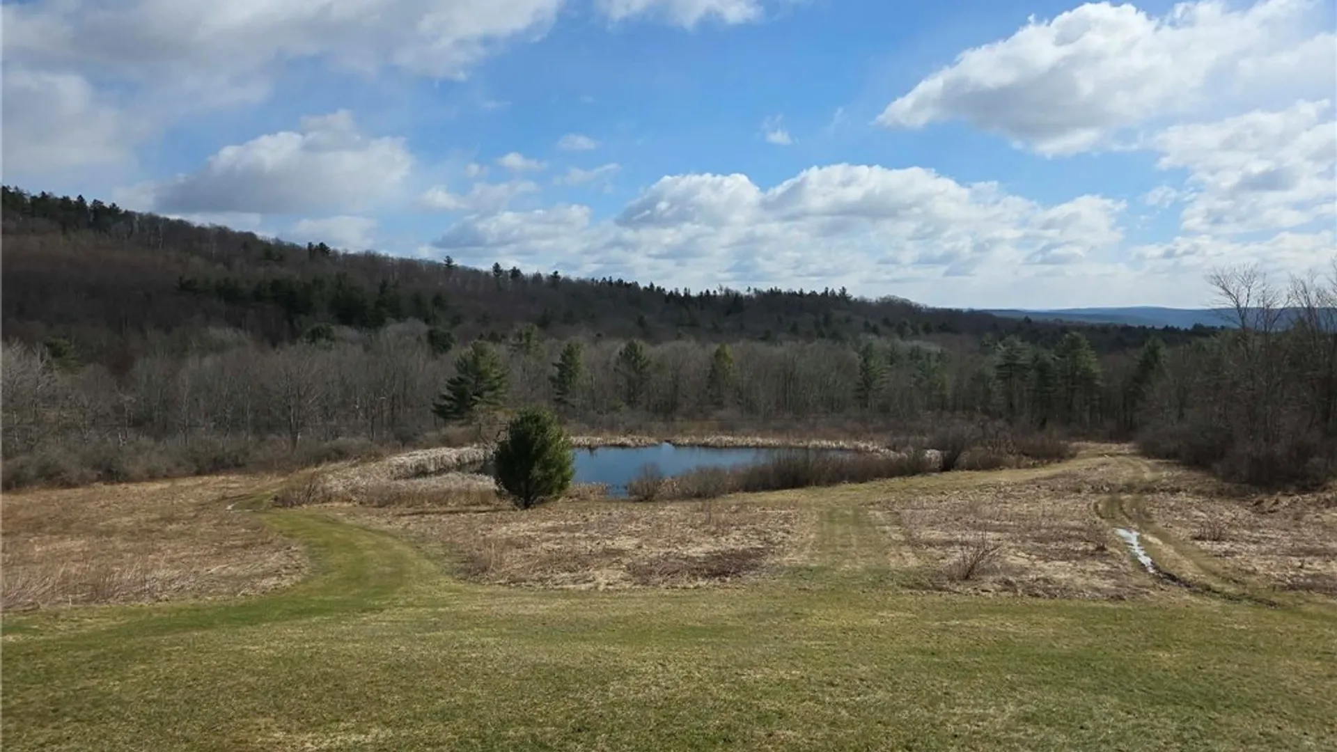 Property at 846 Butternut Road, Unadilla, NY 13849 6