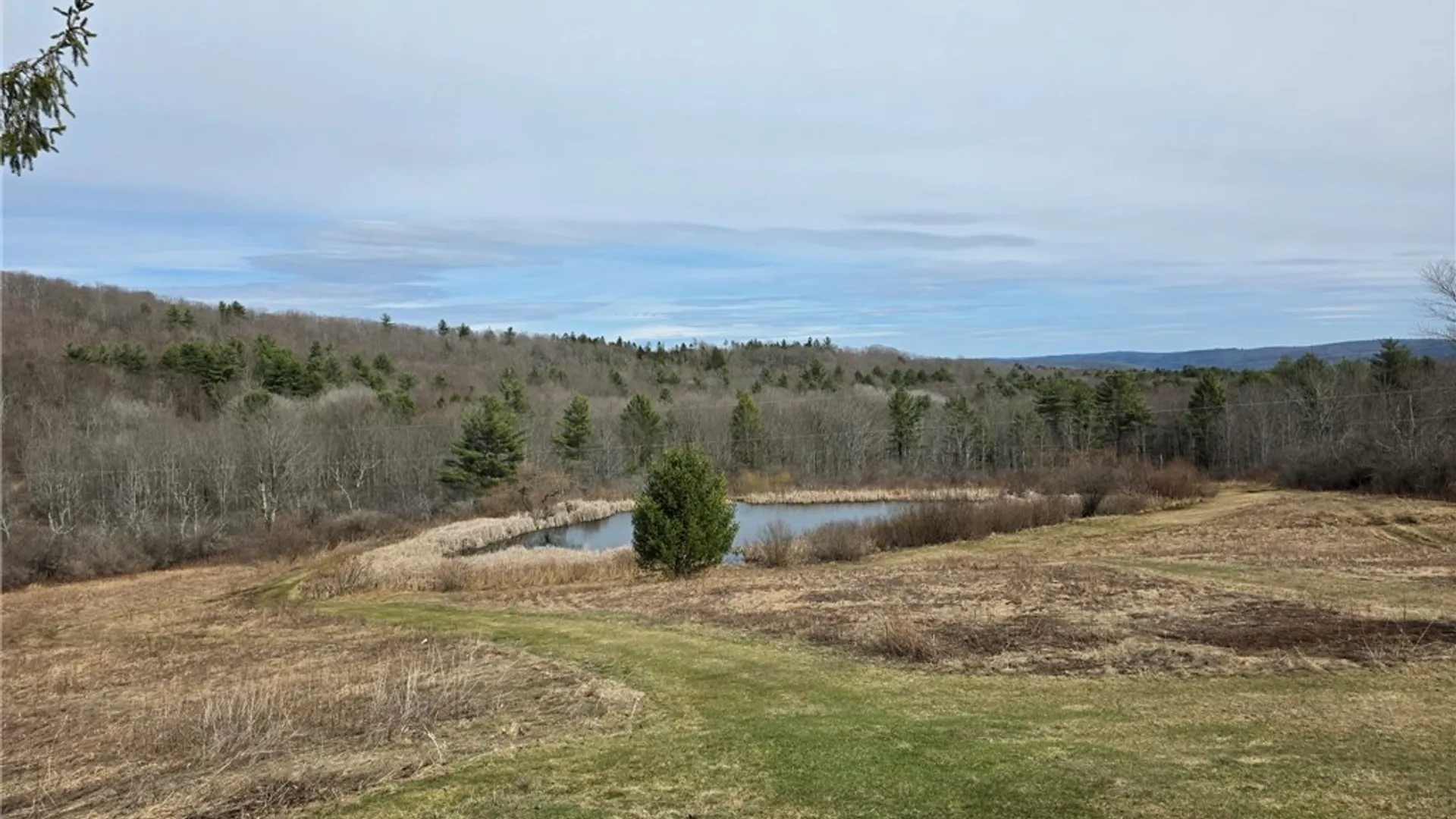 Property at 846 Butternut Road, Unadilla, NY 13849 9