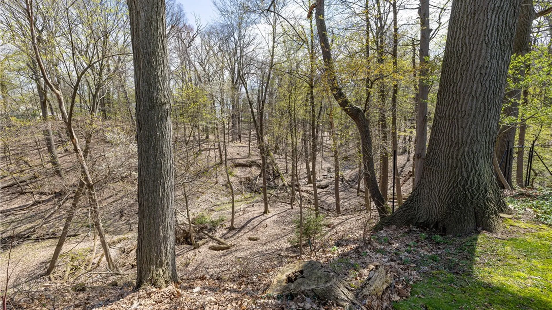 Property at 25 Circle Court, Irondequoit, NY 14617 34