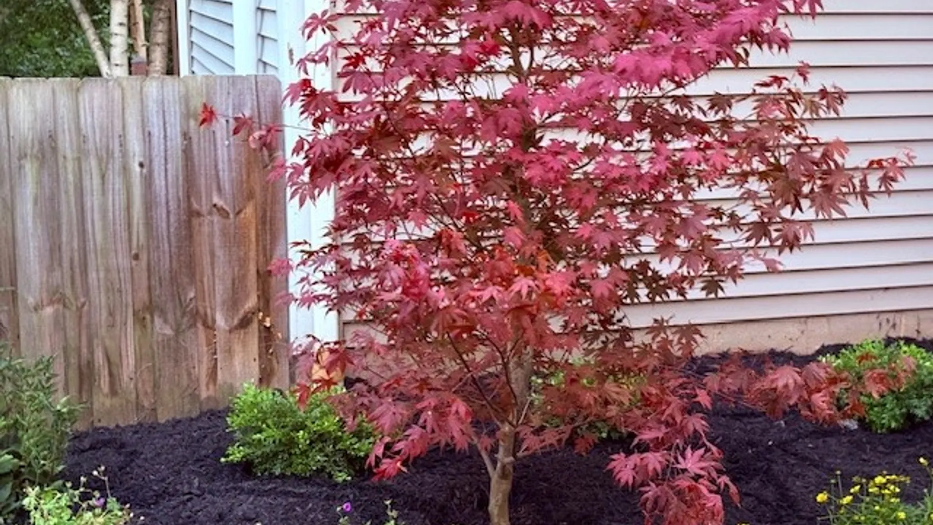 Property at 28 Bristol View Drive, Perinton, NY 14450 40