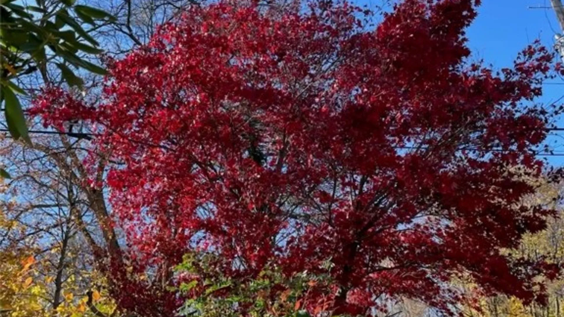 Property at 1016 Trumansburg Road, Ithaca Town, NY 14850 31