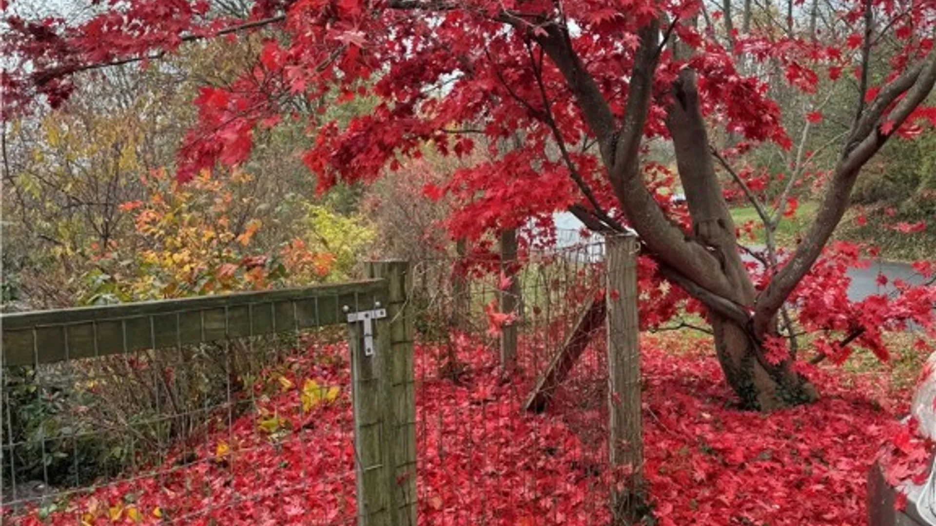 Property at 1016 Trumansburg Road, Ithaca Town, NY 14850 33