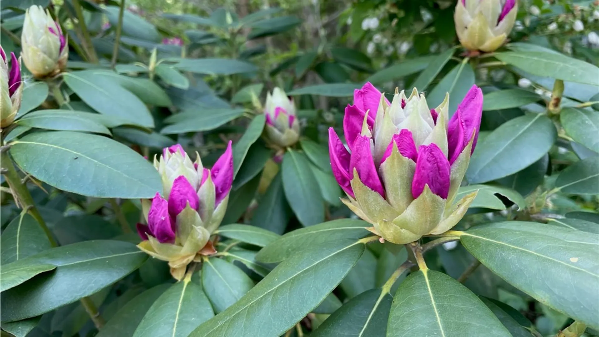 Property at 1016 Trumansburg Road, Ithaca Town, NY 14850 39