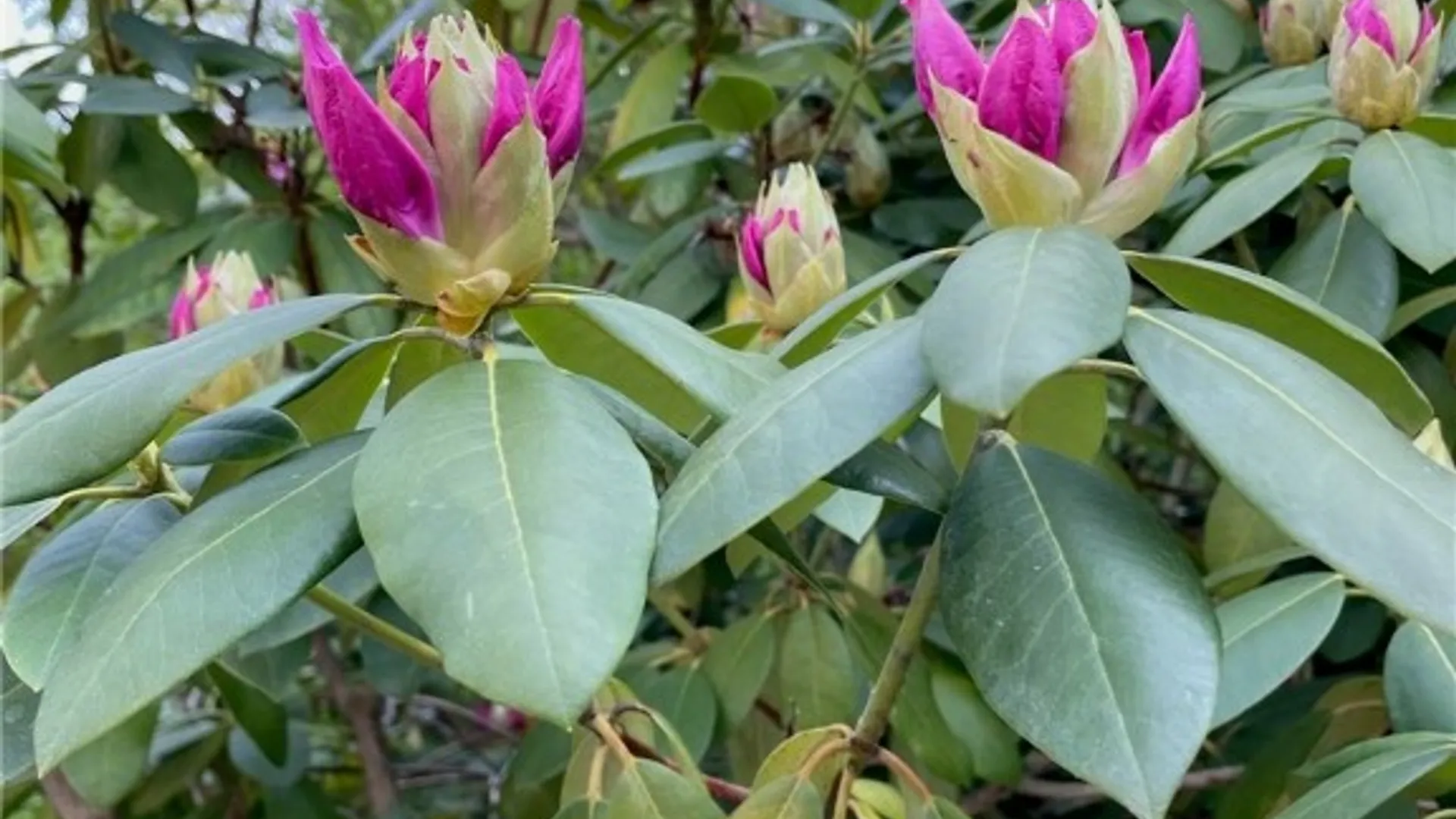 Property at 1016 Trumansburg Road, Ithaca Town, NY 14850 40