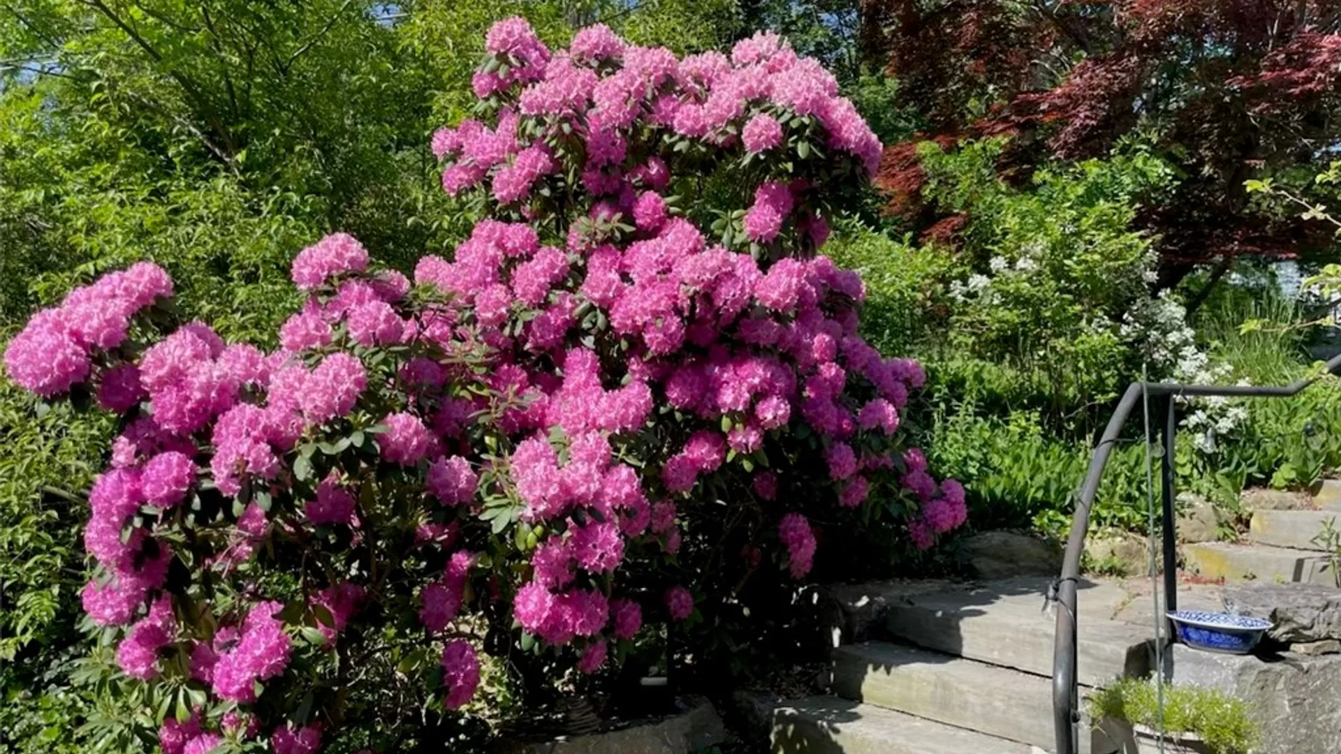 Property at 1016 Trumansburg Road, Ithaca Town, NY 14850 41