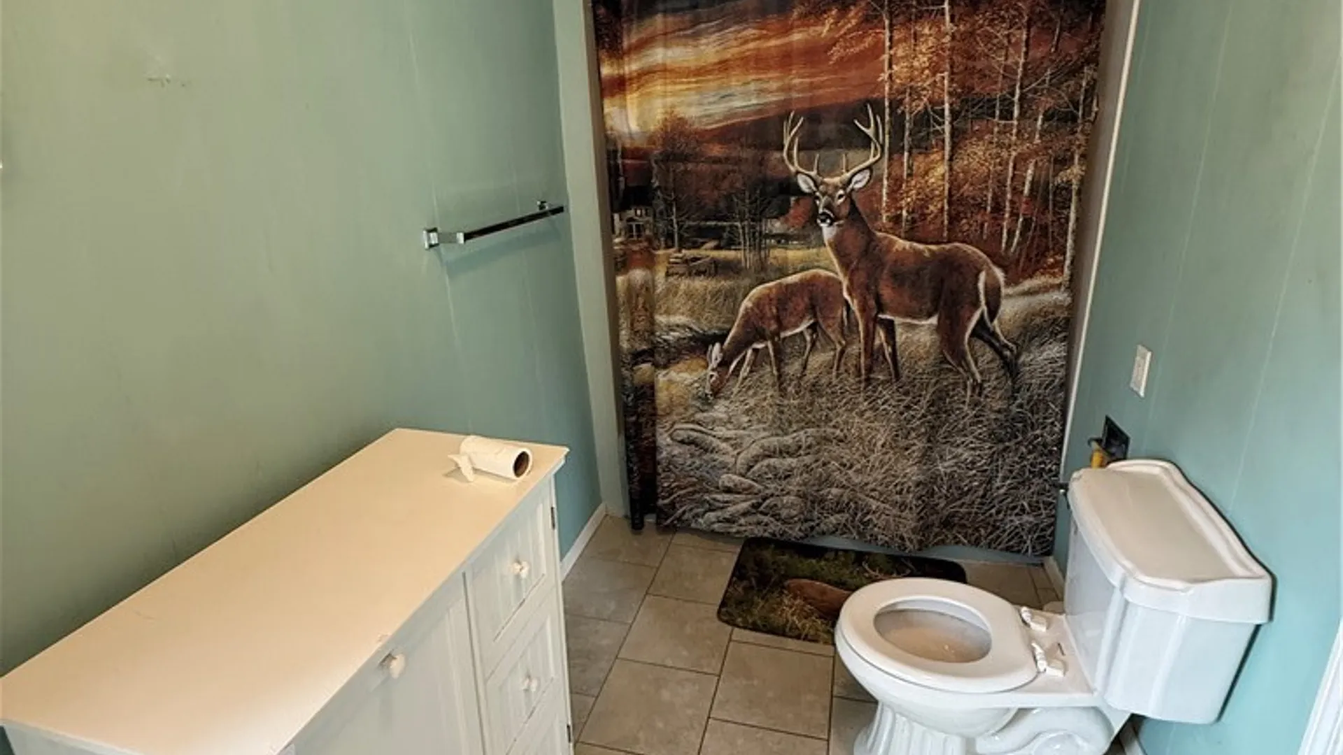 Property at 2716 Green Street, Brutus, NY 13166 11