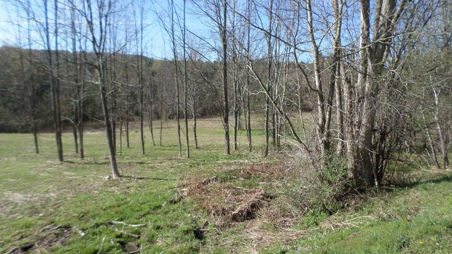 Property at County Highway 8, Butternuts, NY 13776 4