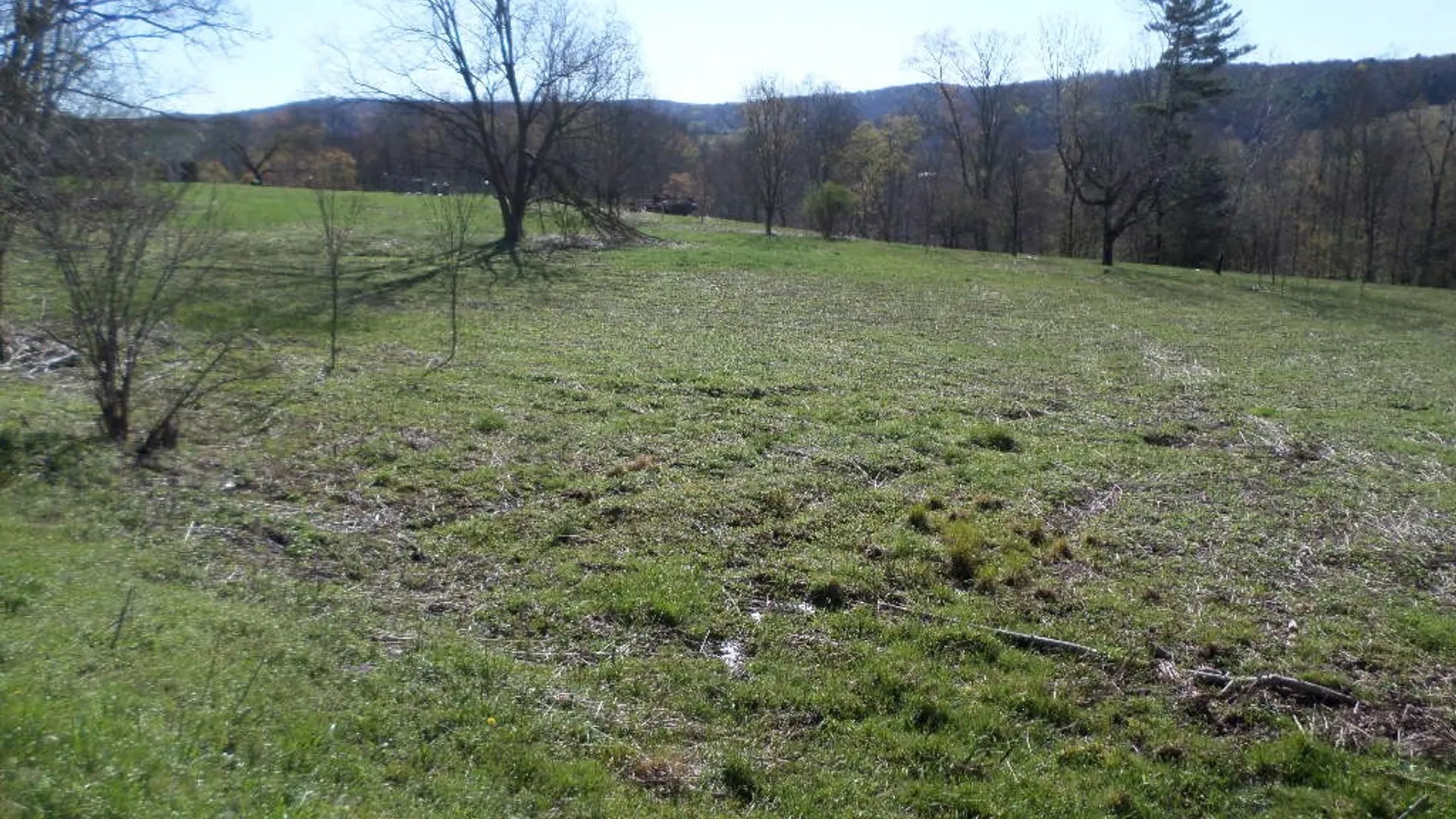 Property at County Highway 8, Butternuts, NY 13776 5