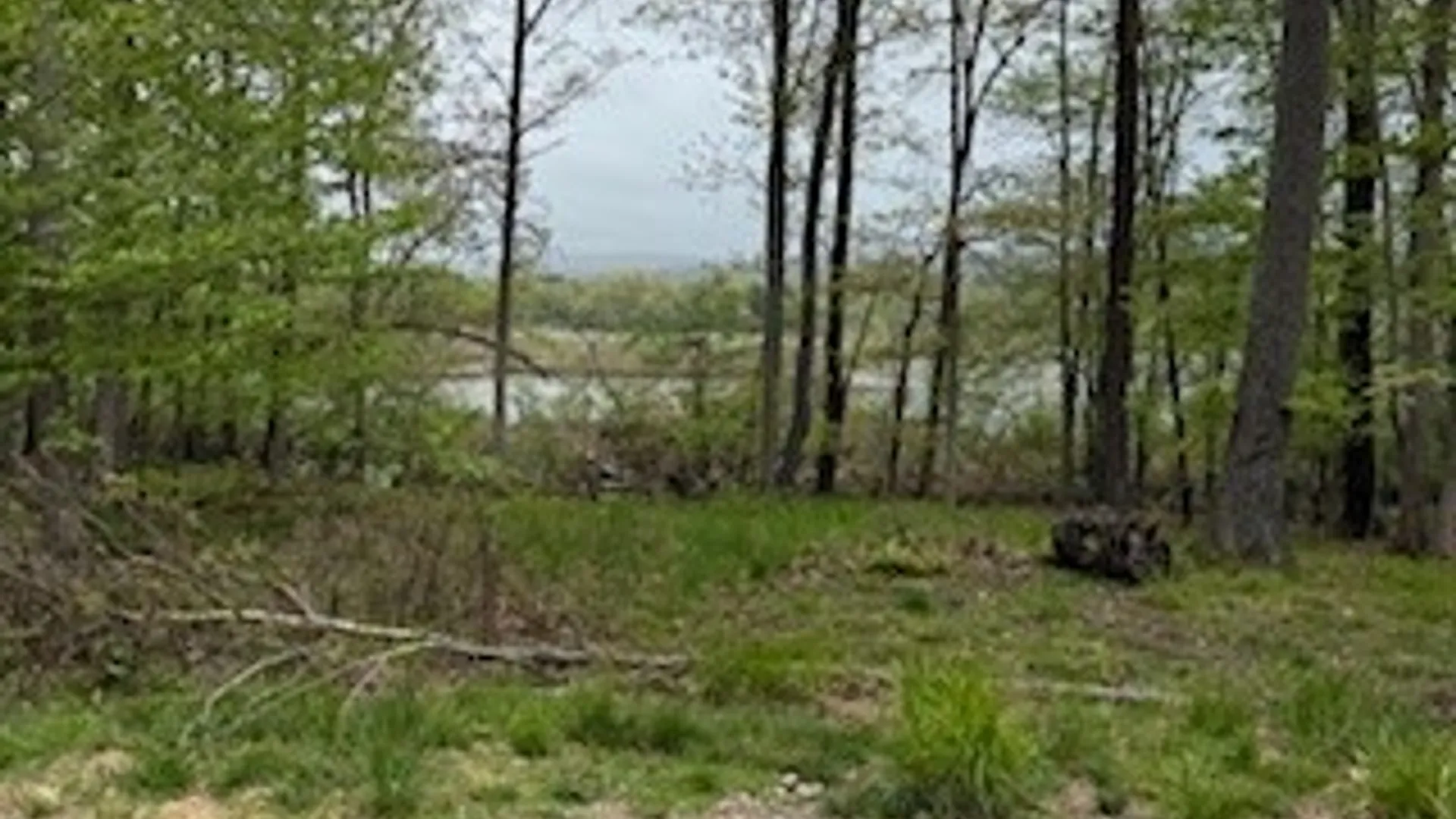 Property at 3384 Huggins Road, Tyrone, NY 14815 19