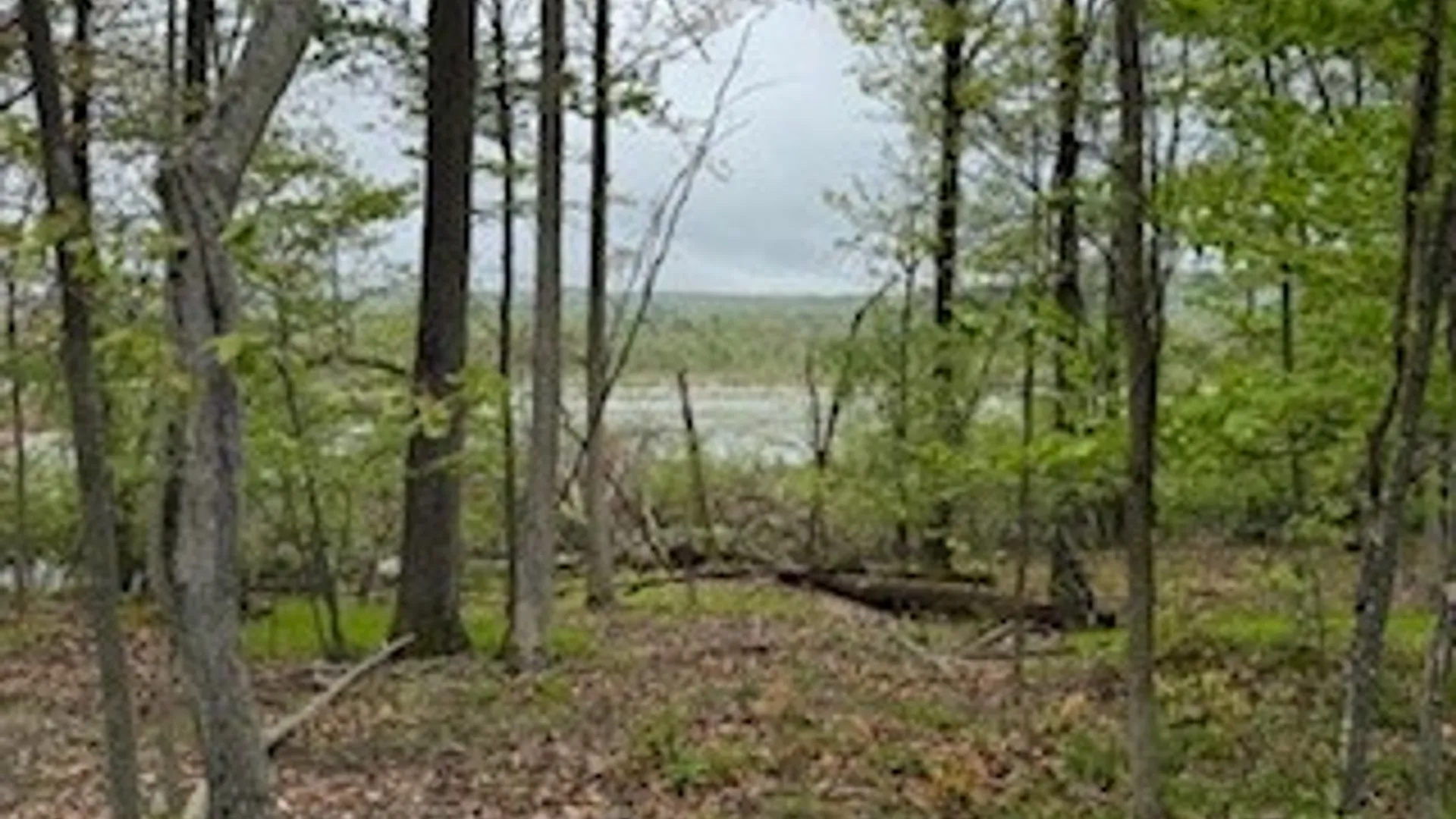 Property at 3384 Huggins Road, Tyrone, NY 14815 22