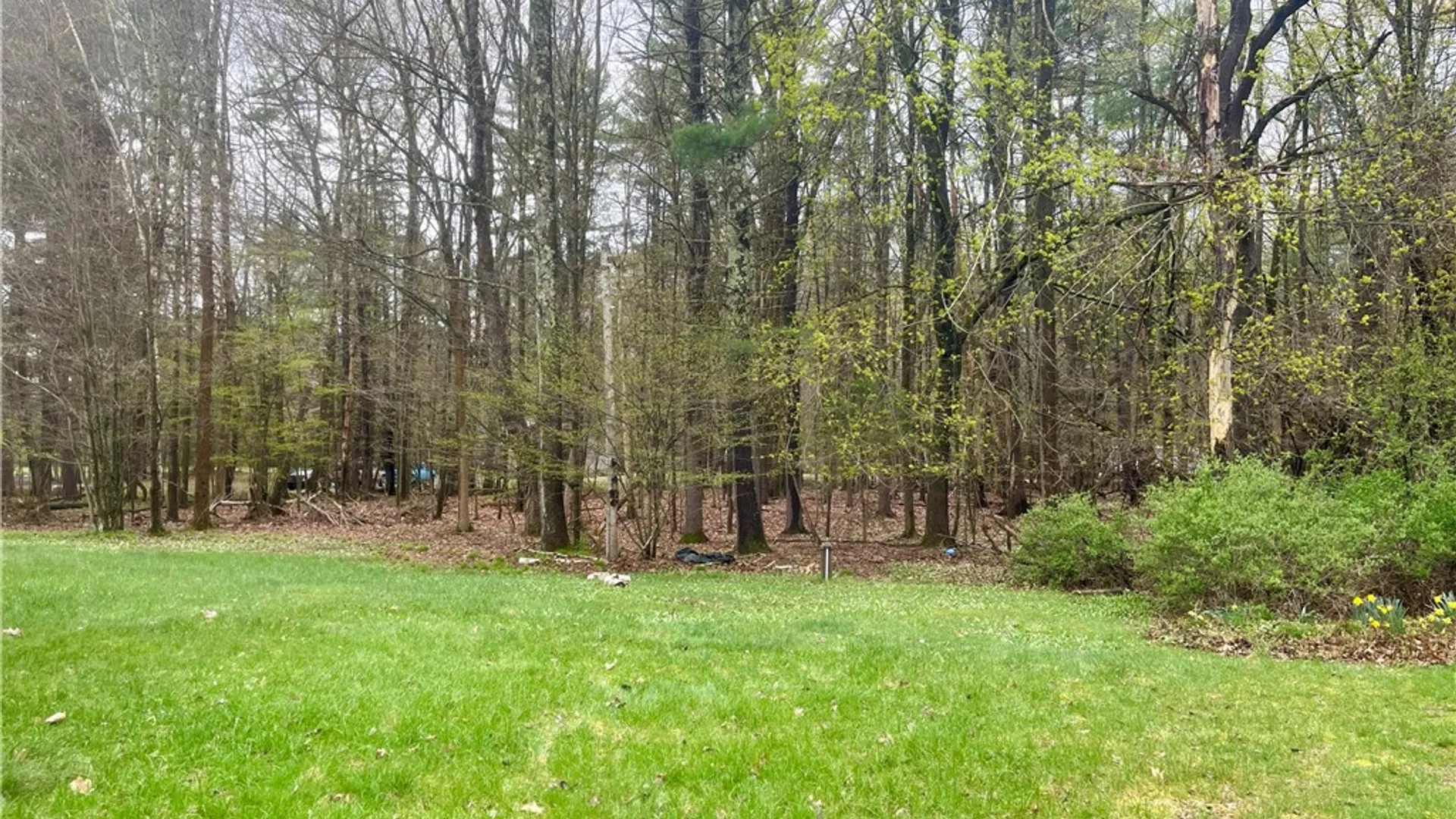 Property at 119 Larsen Road, Milford, NY 12116 8