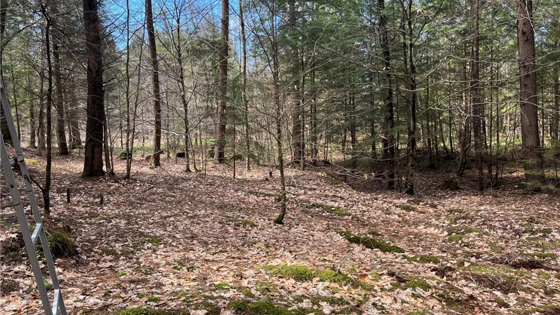 Property at 9589 Hopkins Road, Camden, NY 13316 10
