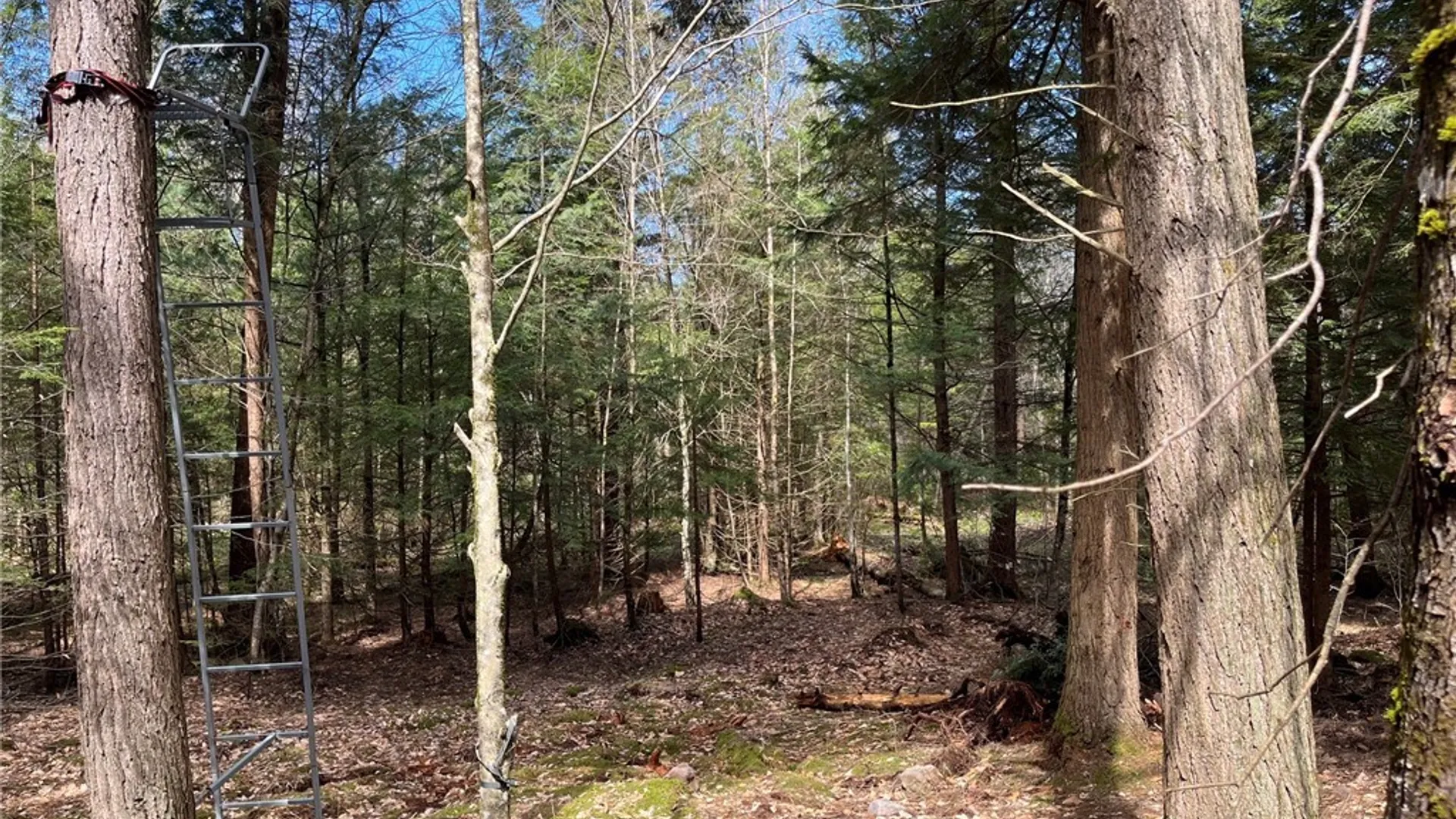 Property at 9589 Hopkins Road, Camden, NY 13316 11