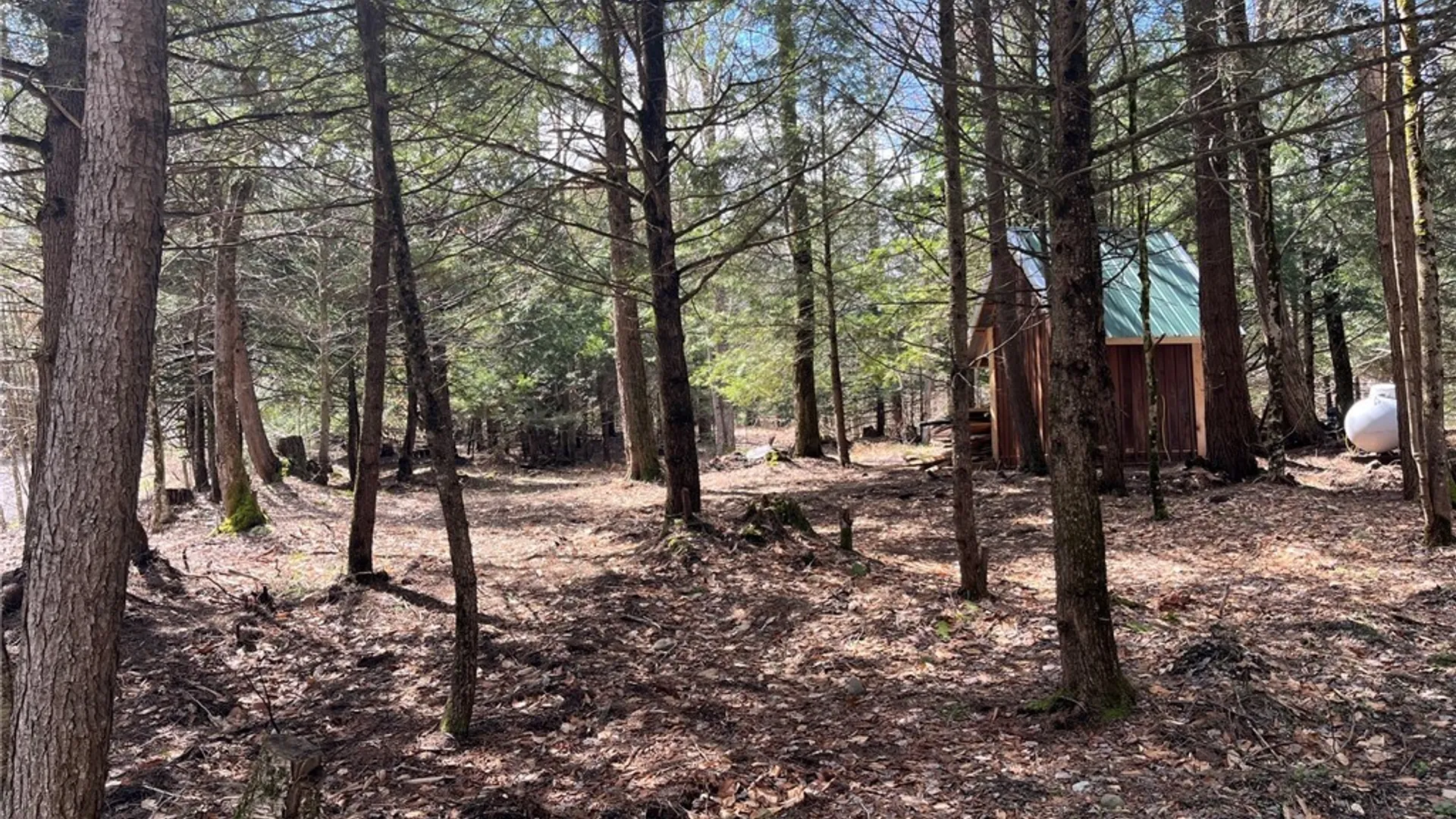 Property at 9589 Hopkins Road, Camden, NY 13316 3