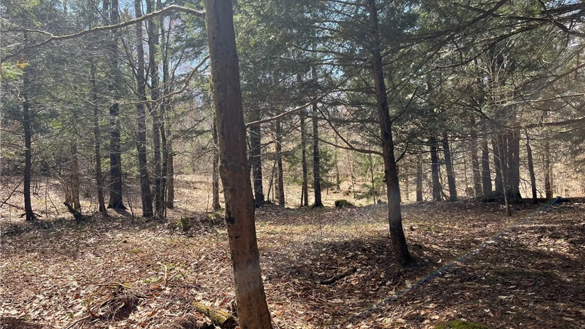 Property at 9589 Hopkins Road, Camden, NY 13316 38