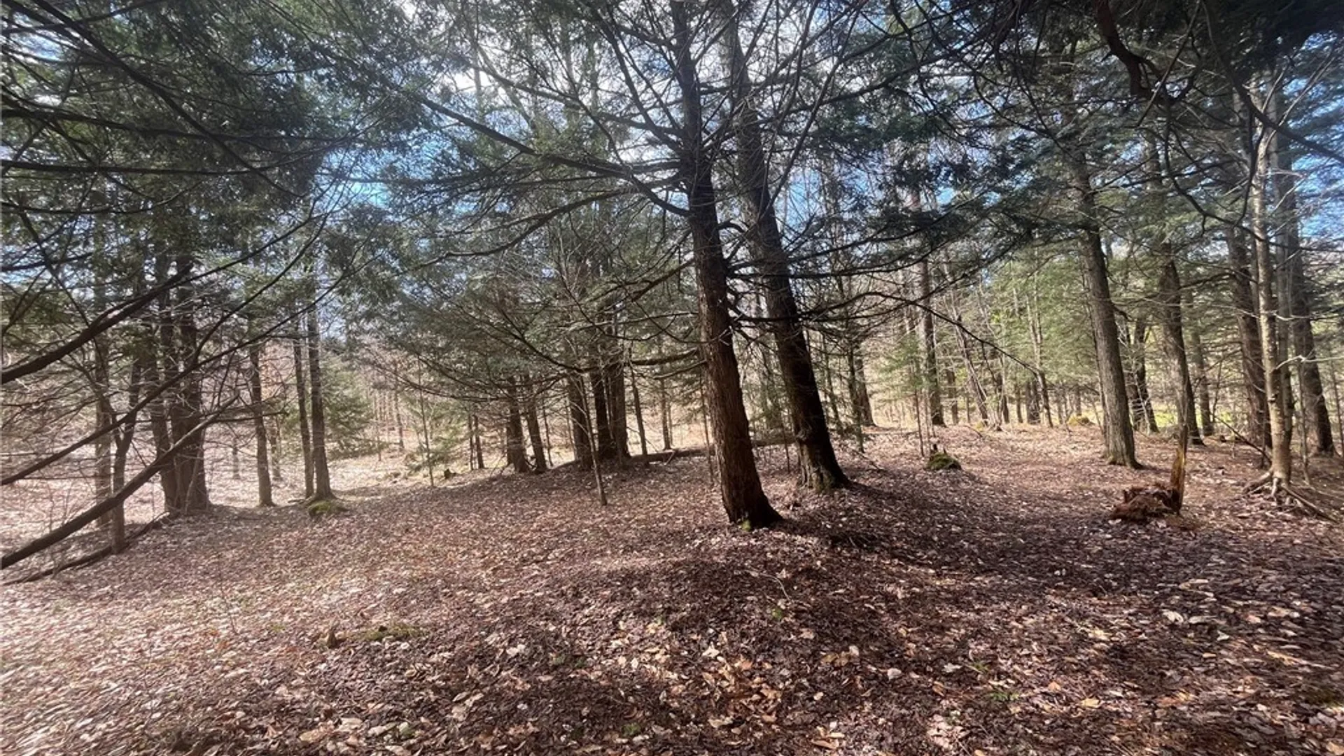 Property at 9589 Hopkins Road, Camden, NY 13316 39
