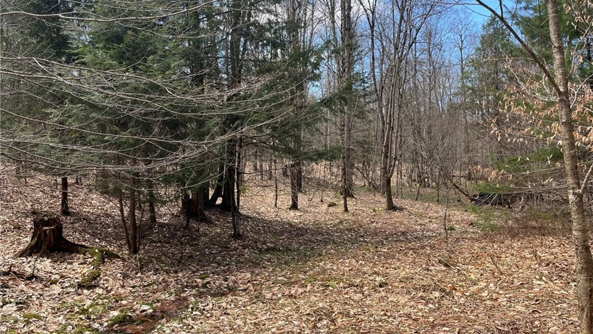 Property at 9589 Hopkins Road, Camden, NY 13316 40