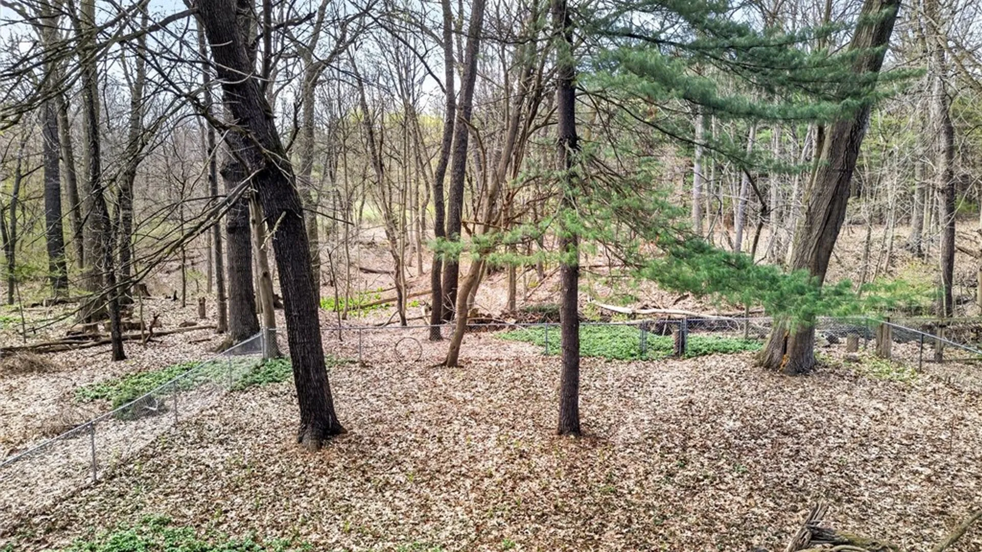 Property at 75 Park Lane, Brighton, NY 14625 10