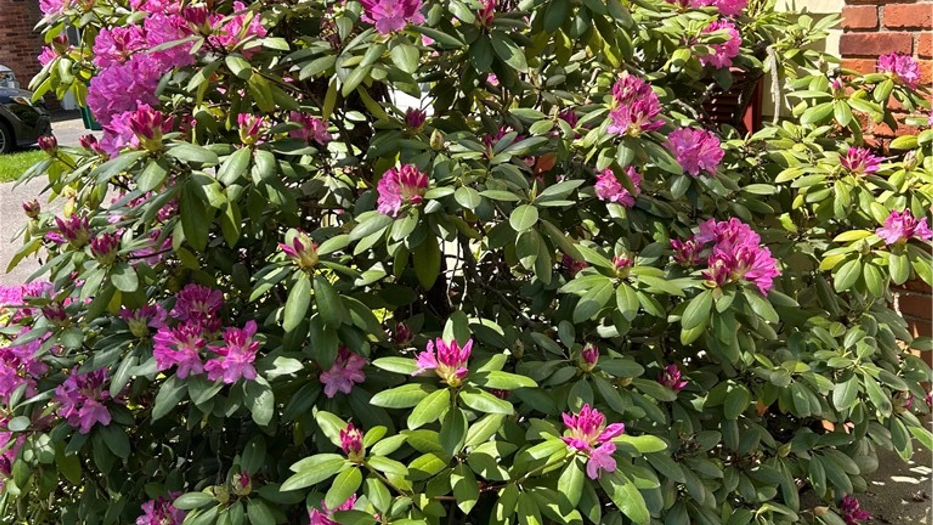 Property at 75 Park Lane, Brighton, NY 14625 2