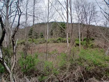 Property at 0 Caton Rd (ST RT 225), Corning, NY 14830