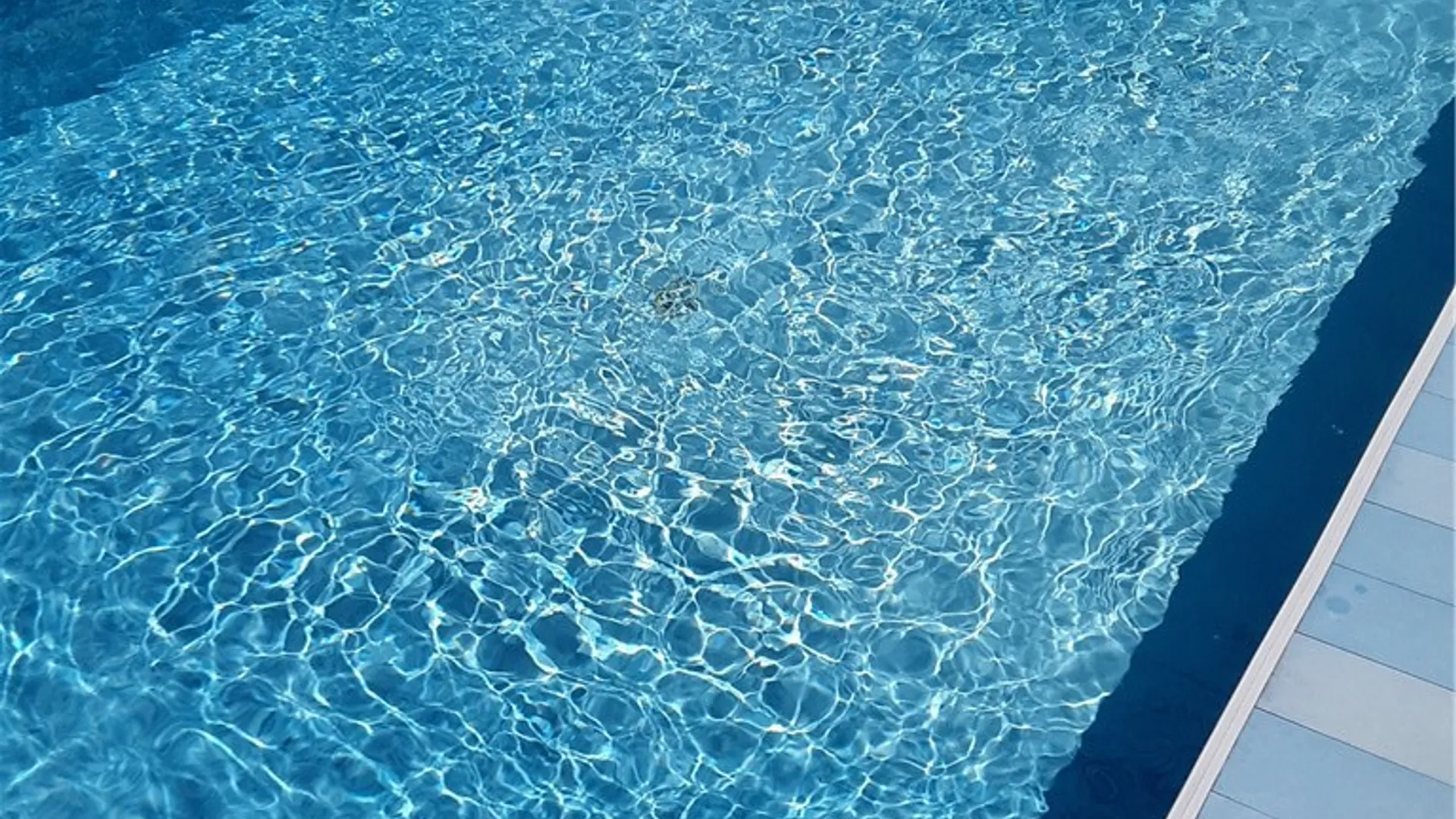 Property at 379 Vine Lane, Amherst, NY 14228 7