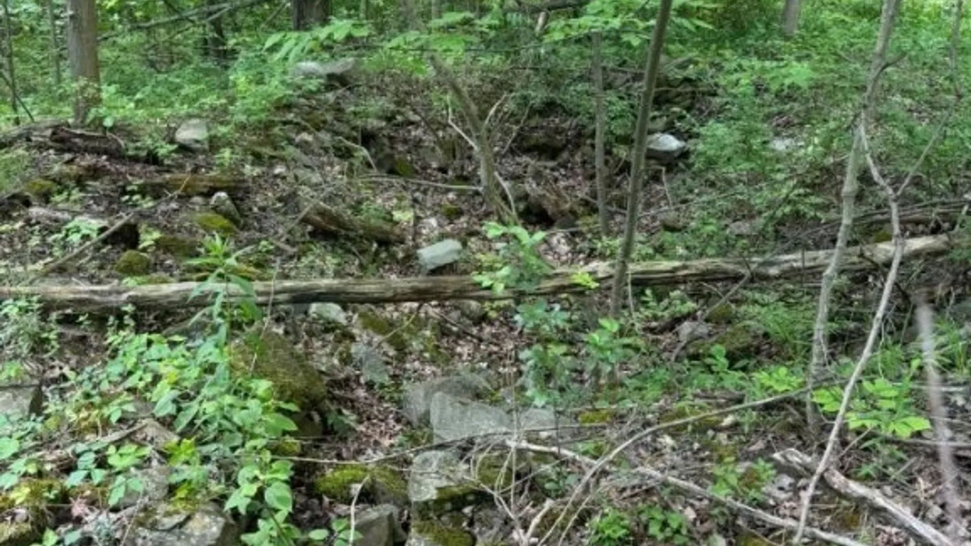 Property at 2190 Warren Road, Italy, NY 14507 5