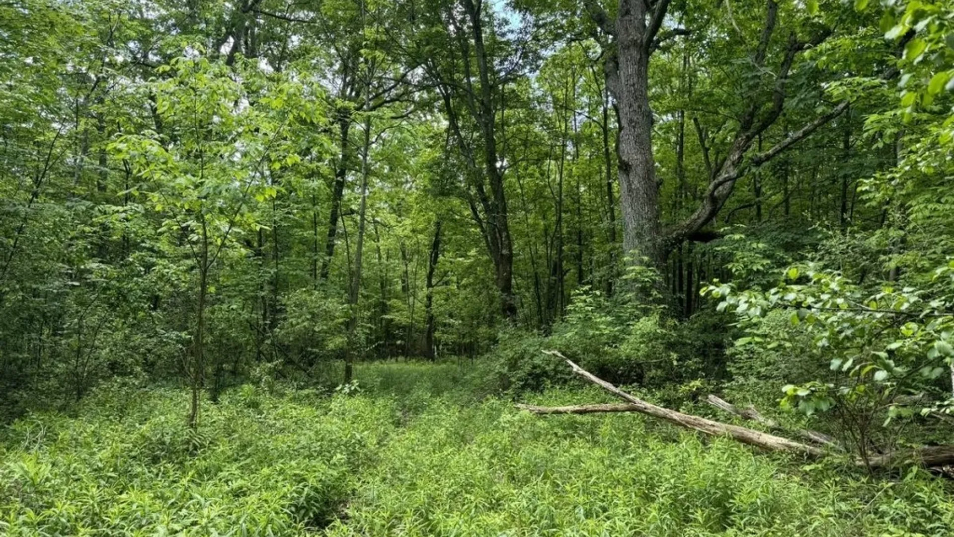 Property at 2190 Warren Road, Italy, NY 14507 6